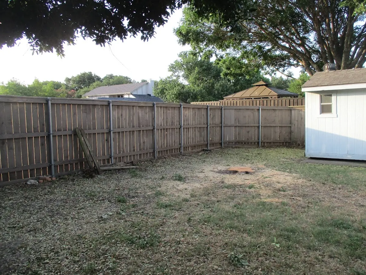 Cleared yard after professional tree removal in Madrid
